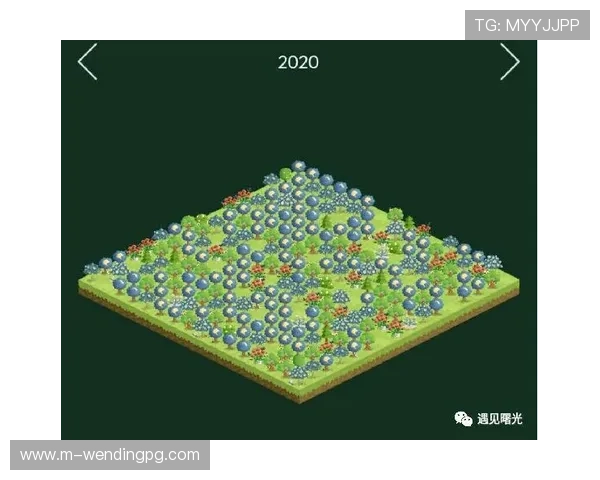 问鼎国际app最新版下载安装后常见的设置优化建议,提升你的游戏体验和操作效率