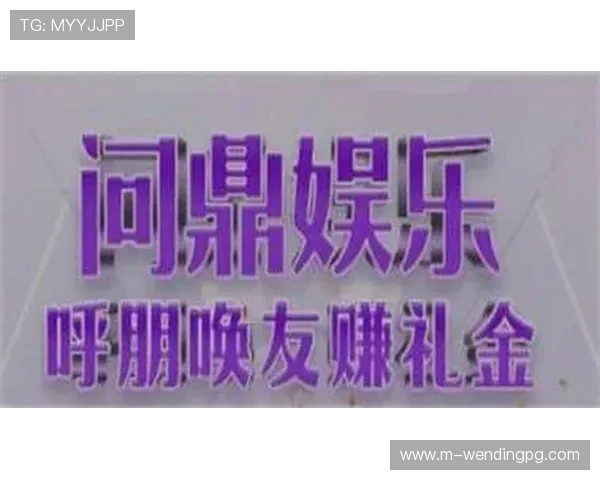 问鼎娱乐电子游戏在行业中的地位与影响力,分析其成功背后的关键因素